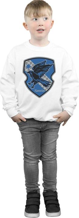 Image du produit - Sweat RAVENCLAW CREST FLAT - Garçon (140, 146)