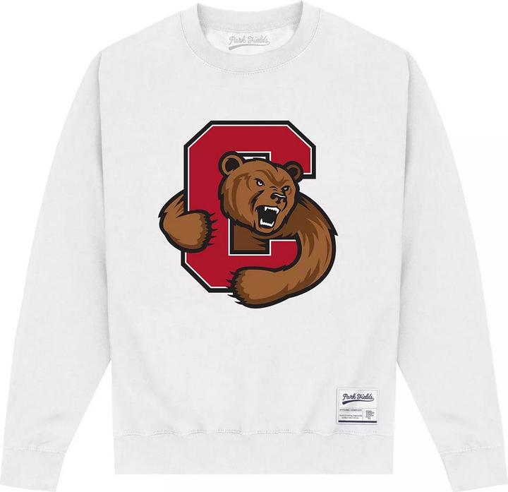 Image du produit - Sweat - Adulte (XL)