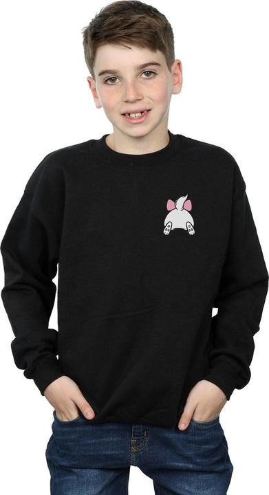 Actual product image Disney Boys Aristocats Marie Backside Breast Print Sweatshirt (140, 146)