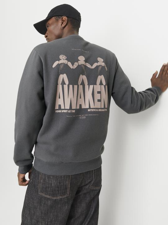 Produktbild Jack & Jones Rückenprint Sweatshirt Sweatshirt (M)