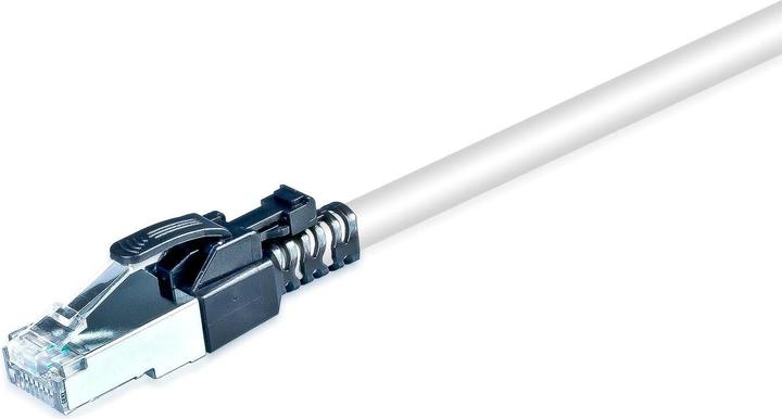 Wirewin Câble réseau (S/FTP, CAT6a, 0.30 m)