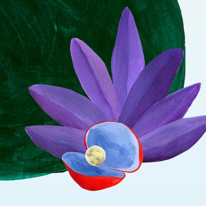 Immagine prodotto kollektiv vier Ciclo (180 x 200 cm)