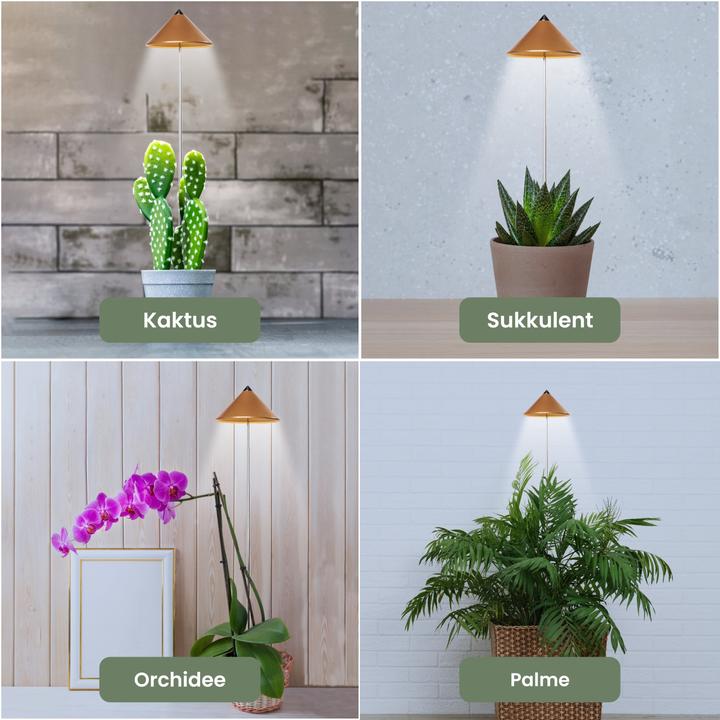 Actual product image Colibri Sunlite (LED, 230 V)
