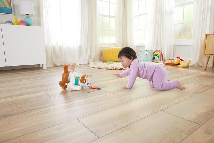 Produktbild Fisher-Price - 123 Crawl With Me Puppy-DU