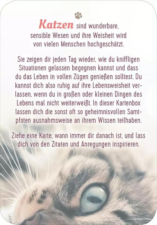 Produktbild Kartenbox Katzenweisheiten (Deutsch, 2023)