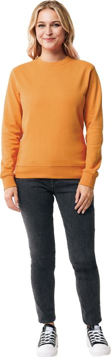 Actual product image Universal Textiles Unisex Adult Zion Recycled Cotton Crew Neck Sweatshirt (S)