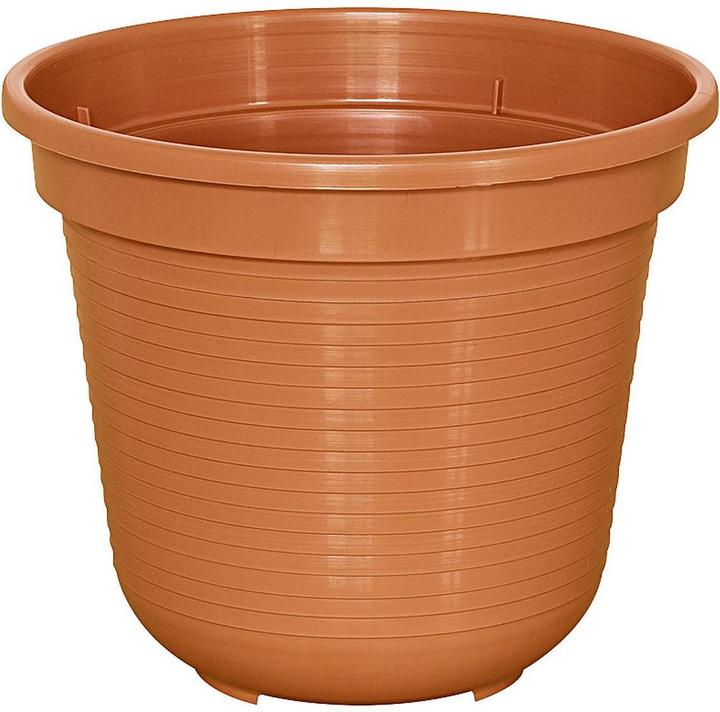 Actual product image Geli Standard (16 cm)