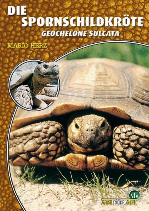 Image du produit Spornschildkröte (Allemand, Mario Heart, 2022)