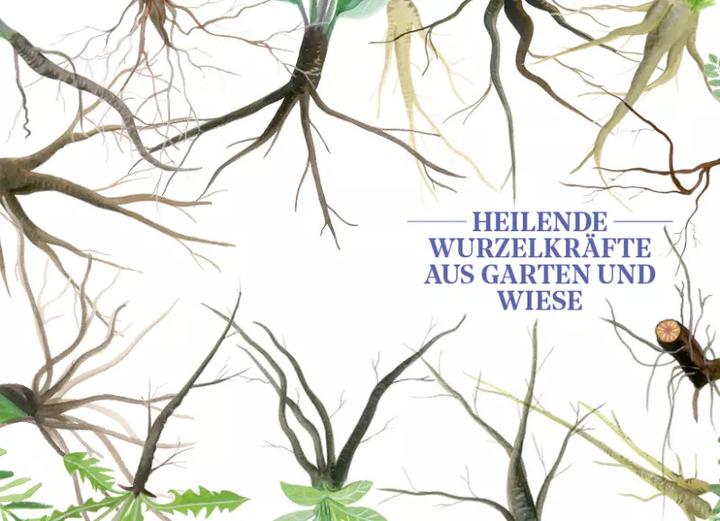 Actual product image Die Kraft der Wurzeln (German, Miriam Cradle, 2020)