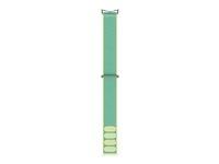 Actual product image Google SKU, Performance Loop Band, Wintergreen (Polyester, Polyamide/nylon)