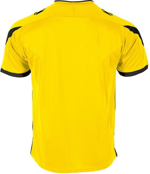 Image du produit Stanno Drive Match Maillot (XXL)