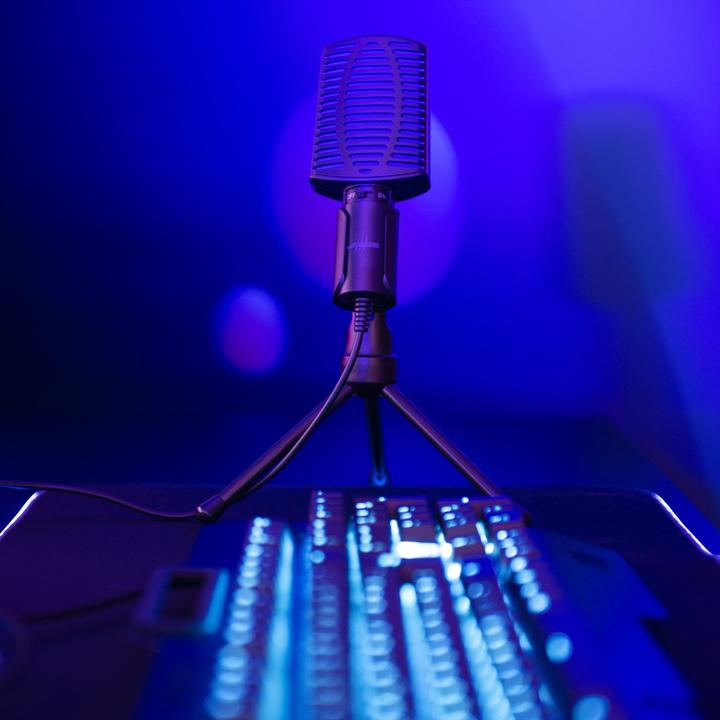 Immagine prodotto Urage Microfono Microfono HD "Stream 100