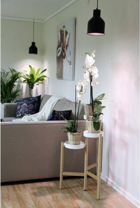 Produktbild Venso Grow Light Standard (LED, 245 V)
