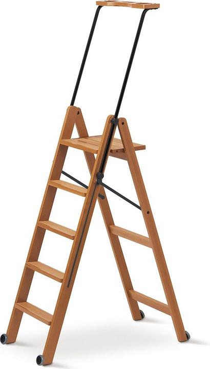 Europe & Nature Ladder for library (49.50 cm)