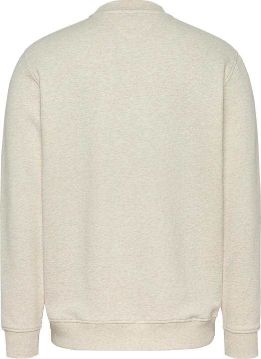 Actual product image Tommy Jeans Tjm Reg Linear Crew Ext (M)