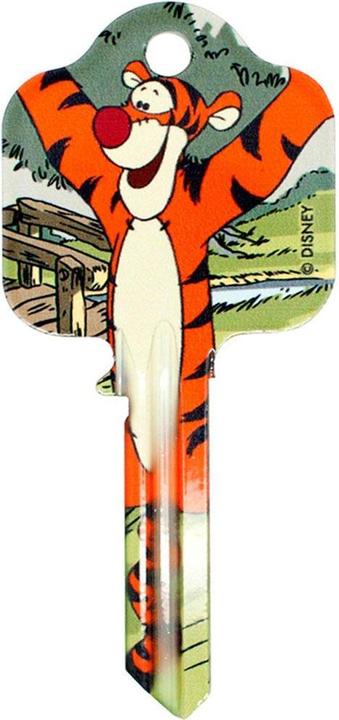 Actual product image Winnie the Pooh Tigger Door Key