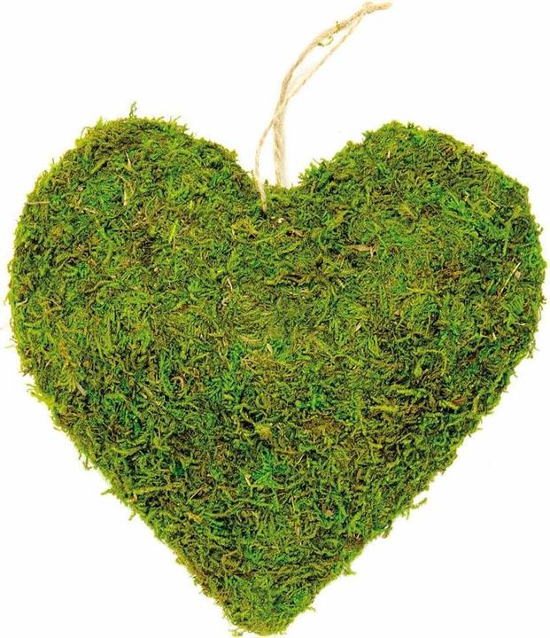 Actual product image Glorex Moss heart 12 cm