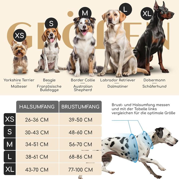 Produktbild Freudentier Clyde Hundegeschirr (S, Hund, Allgemein)