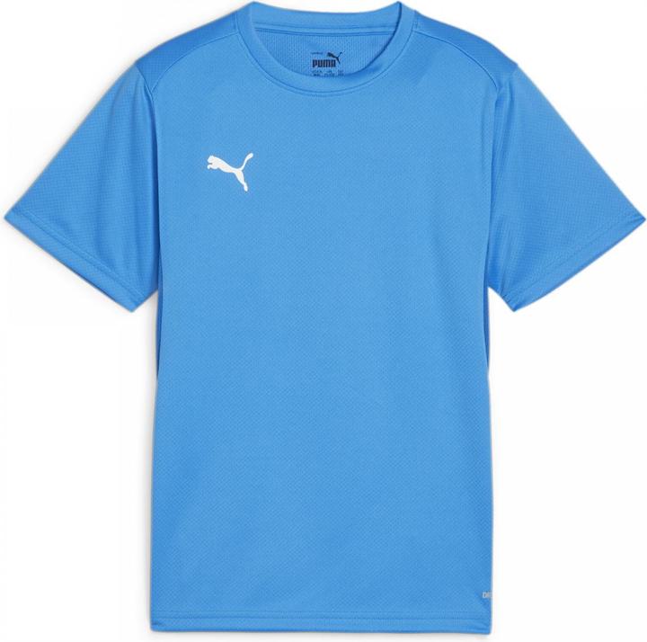 Immagine prodotto Puma Maglia TeamGOAL Jr (116)