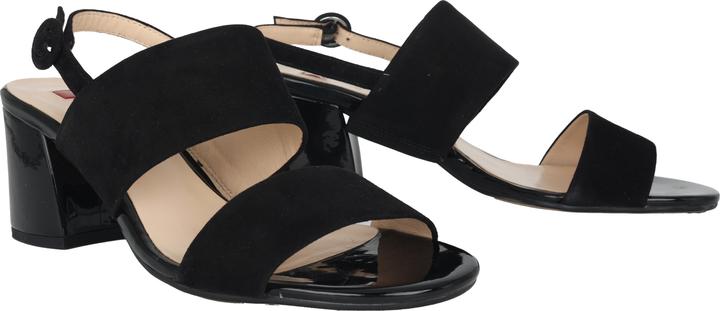 Image du produit Hogl Pure (42)