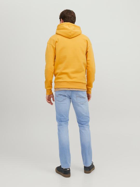 Image du produit Jack & Jones Glenn (W31/L34)