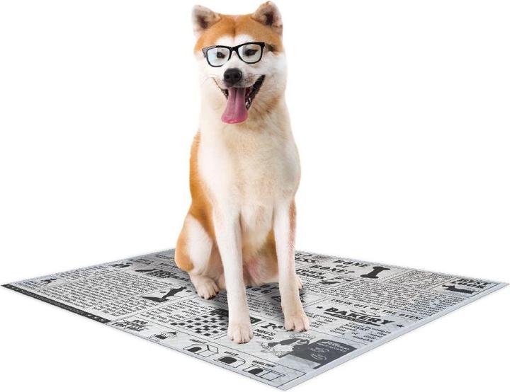 Produktbild Croci hundematte super nappy newspaper (x60) (Hund)