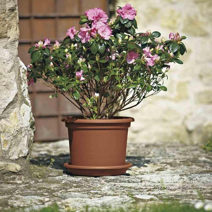 Image du produit Euro3plast Bacs à plantes (50 cm)