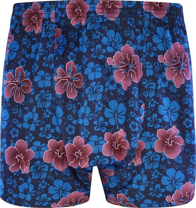 Actual product image Sugar Pine Aloha Vera boxer shorts (M, Single pack)