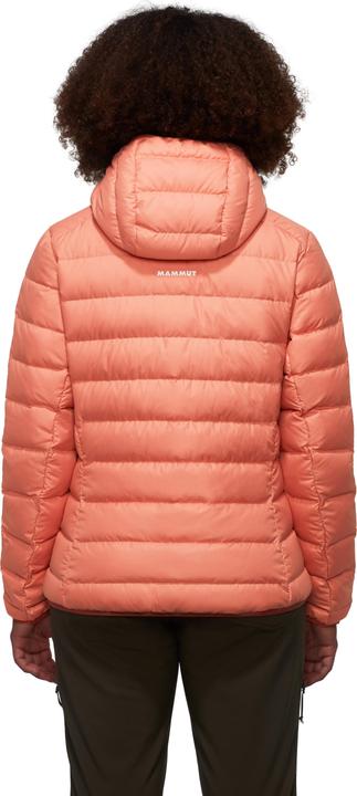 Image du produit Mammut Veste à capuche Waymarker IN Femme (XL)