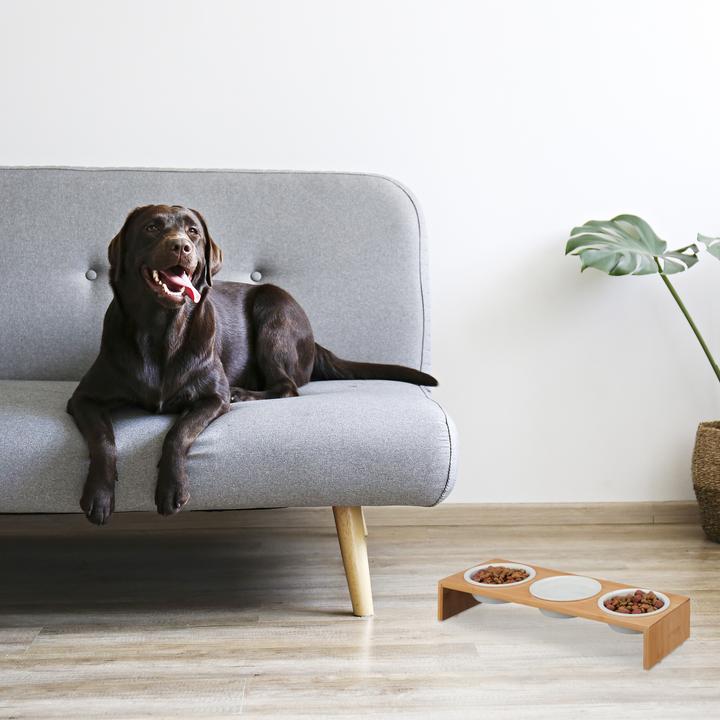 Immagine prodotto Relaxdays Stazione di cibo per cani (0.40 l)