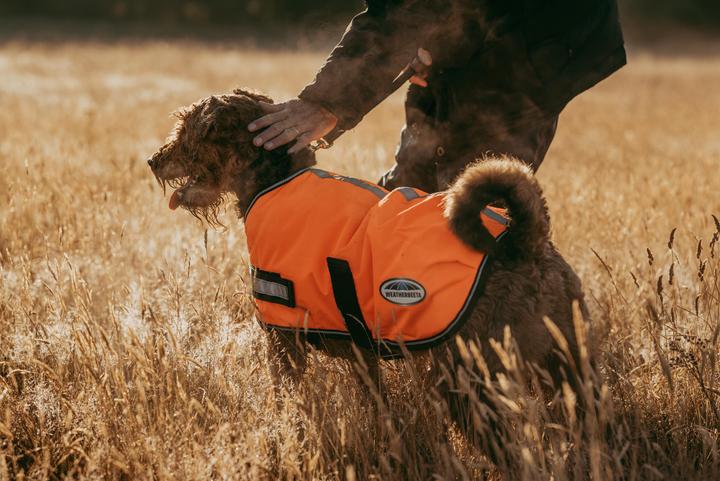 Produktbild Weatherbeeta Comfitec Reflektierender Parka 300D Hundemantel (30, Hundemantel)