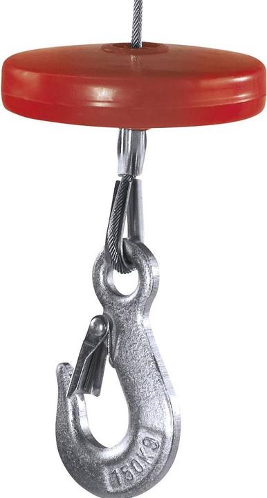 Actual product image Einhell Rope hoist TC-EH 250