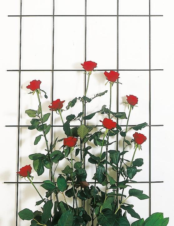 Produktbild Windhager Metall Gitterspalier (150 cm, 45 cm)