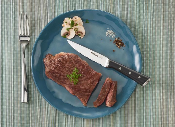 Image du produit Tefal Ensemble de couteaux Ingenio (4 pièce(s), Couteau)