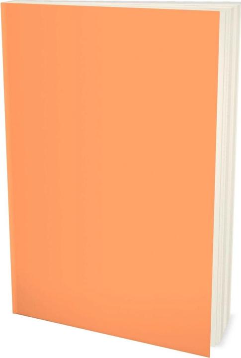 Image du produit Weltmacht im Treibsand (Allemand, Scholl-Latour, 2005)