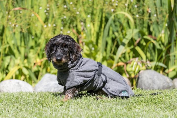 Immagine prodotto Trixie Accappatoio (L, Accappatoio per cani)