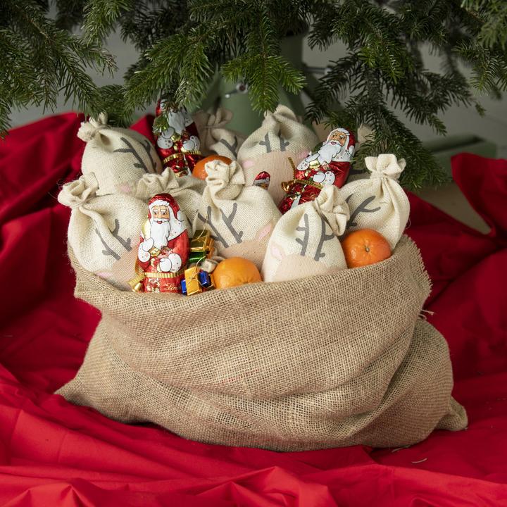 Produktbild Folia 10 Nikolausbeutel Rentier klein (Geschenktüte, 10 x)