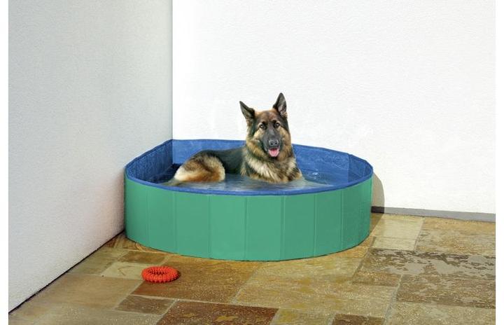 Image du produit Flamingo Doggy Splash Pool Green/Blue L - (540058500219)