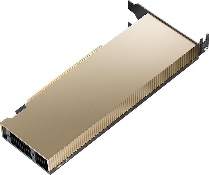 Actual product image PNY Nvidia L4 Module 24GB 1X LP (24 GB)