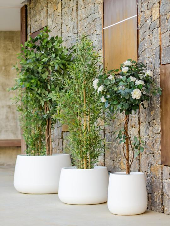 Image du produit Newgarden CAMELIA 60 Blumentopf XXL gross rund ø59x39cm anthrazit 74L aussen