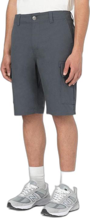 Actual product image Dickies Millerville Short (32)