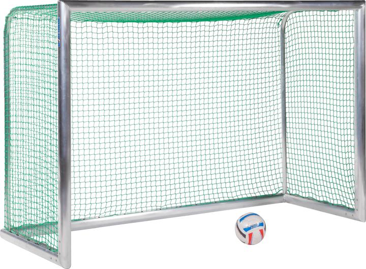 Sport-Thieme Mini-Trainingstor Professional Kompakt, Alu-Naturblank