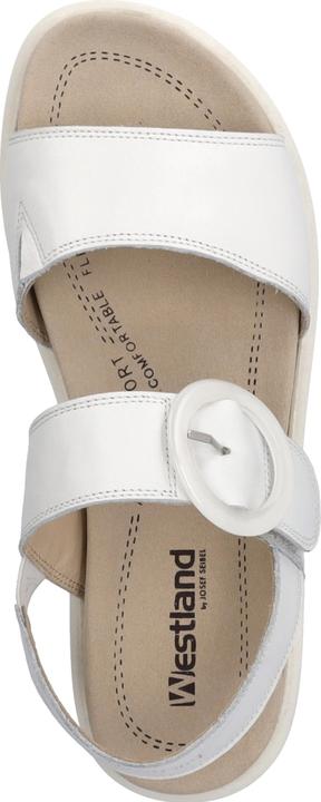 Immagine prodotto Westland 25408-409 (40)