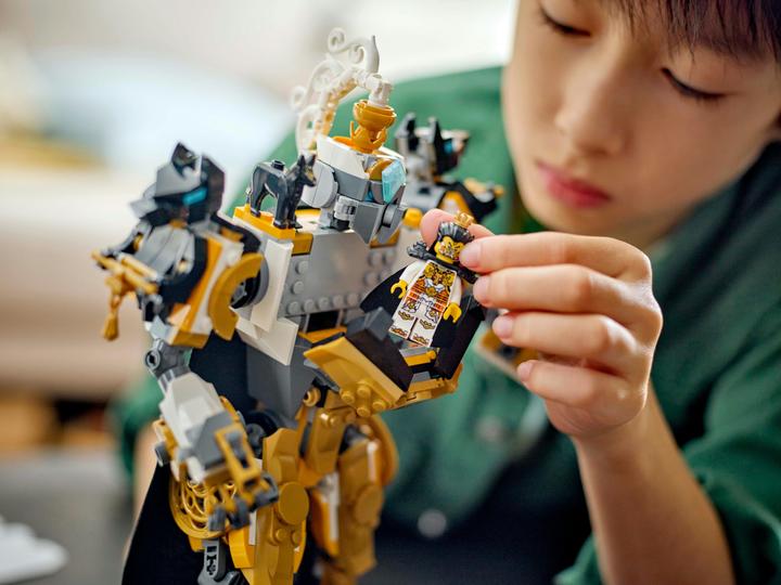 Actual product image LEGO 80065 (80065, LEGO DC)