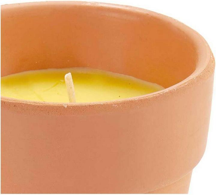 Produktbild Ibergarden Kerze Zitronella 8 x 8 x 8 cm (12 Stück) (12 Stk.)