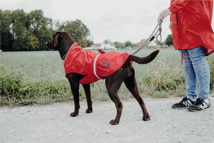 Image du produit Hunter Manteau pour chien Uppsala Rain (45, Manteau pour chien)