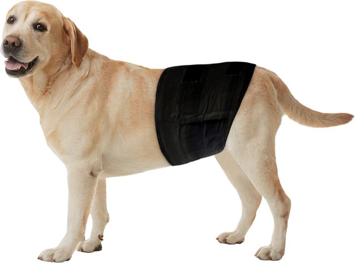 Produktbild Freezack Einweg-Windeln für Rüden S (Hund)