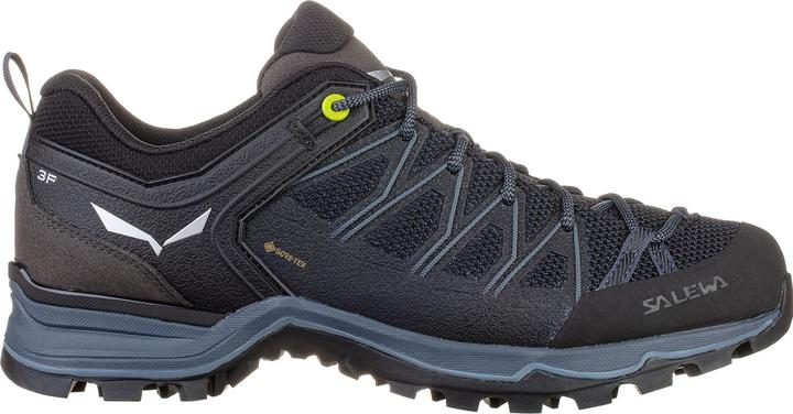 Produktbild Salewa MTN Trainer Lite GTX Schuhe (43)