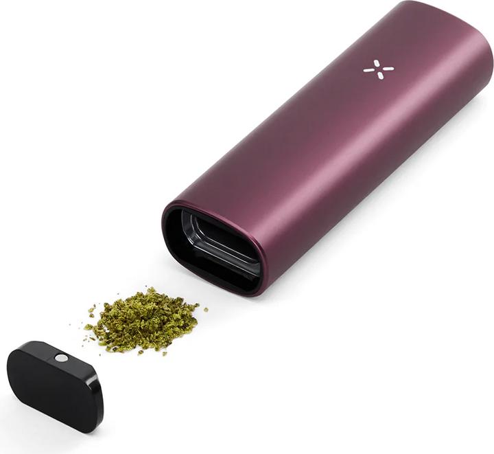 Actual product image Pax Plus Elderberry Kit