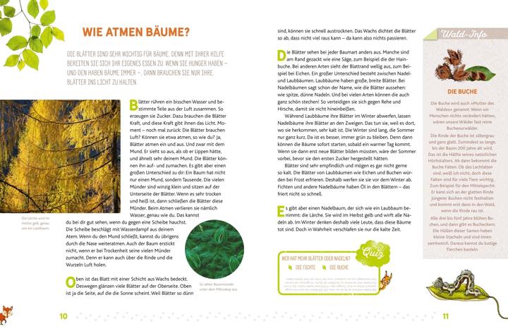 Actual product image Hörst du, wie die Bäume sprechen? Eine kleine Entdeckungsreise durch den Wald (German, Peter Wohlleben, 2017)